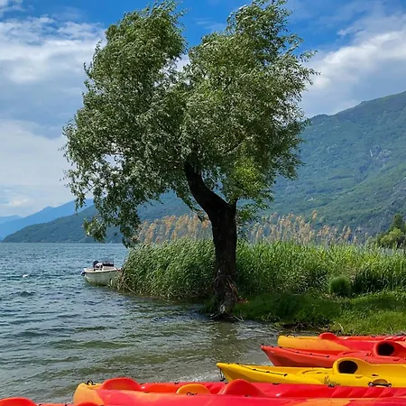 Armonia Mit Terrassen Am Lägenhet