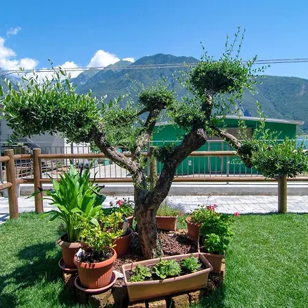 Armonia Mit Terrassen Am * Dascio